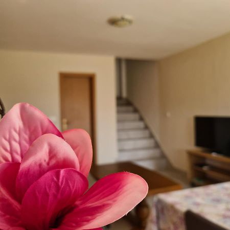 Апартаменти Apartman Senka Rogotin Екстер'єр фото