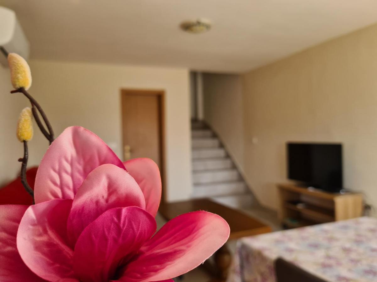 Апартаменти Apartman Senka Rogotin Екстер'єр фото